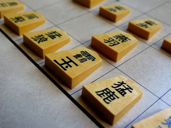 wa-shogi-closeup