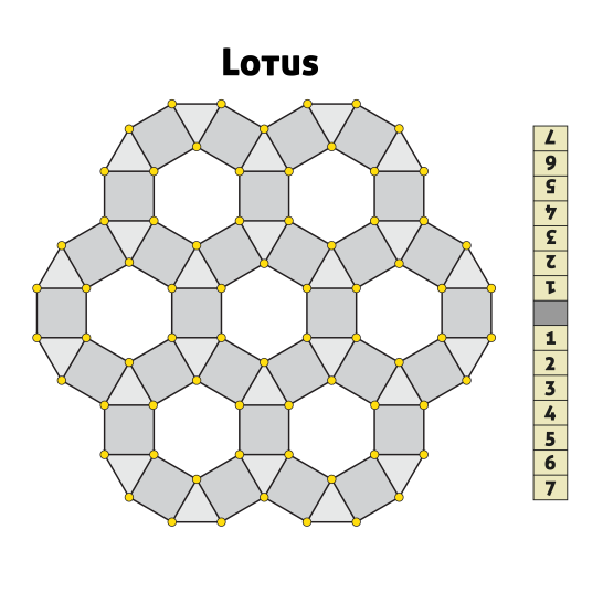 Lotus-01